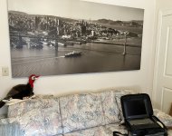img_4808